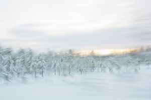 etusivu_rkylaheiko-8425.jpg